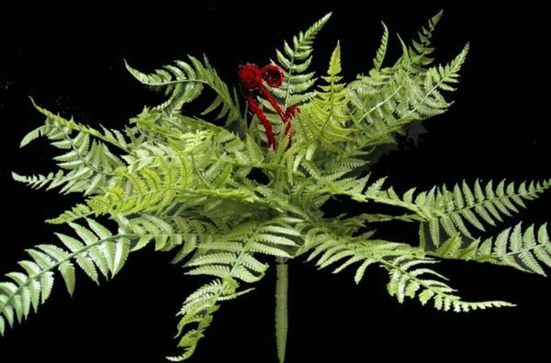 Lifelike 15" artificial Boston fern bush in vibrant green with Koru design, perfect for low-maintenance home decor.