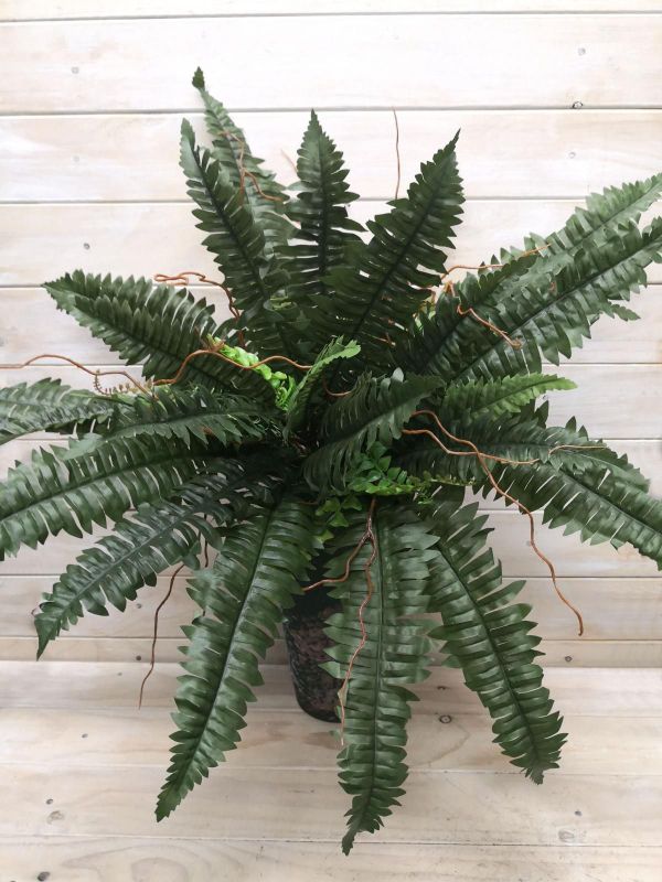 Lush green Artificial Fern Bush - Large Boston, measuring 53cm tall and 74cm wide, ideal for home or event decor.