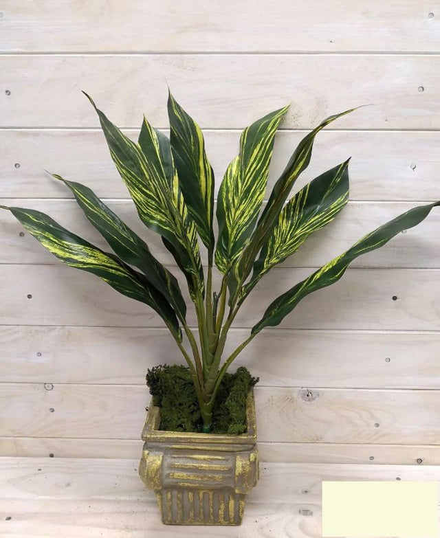 Lifelike green artificial Hawaiian Ti plant bush, perfect for adding tropical elegance to any indoor or outdoor space.