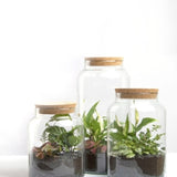 Set of 4 small 5L terrarium bottles made from recycled glass, featuring cork lids for easy plant maintenance.