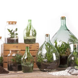 Set of 4 small terrarium bottles made from recycled glass, featuring cork lids for easy plant maintenance.