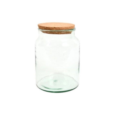 Set of 4 half-open terrarium bottles made from recycled glass, ideal for indoor gardening and plant showcasing.