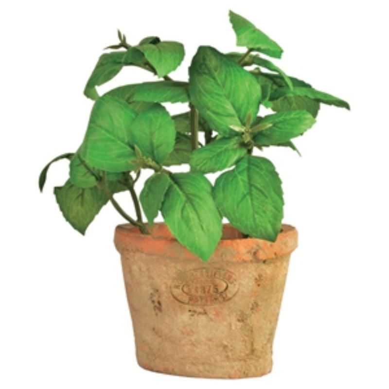Artificial Basil In Terracotta Pot - 9 x 9 x 16cm (Set of 4)