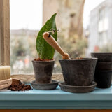 Set of 6 handcrafted terracotta pots with a Tuscan design, featuring drainage holes for healthy plant growth.