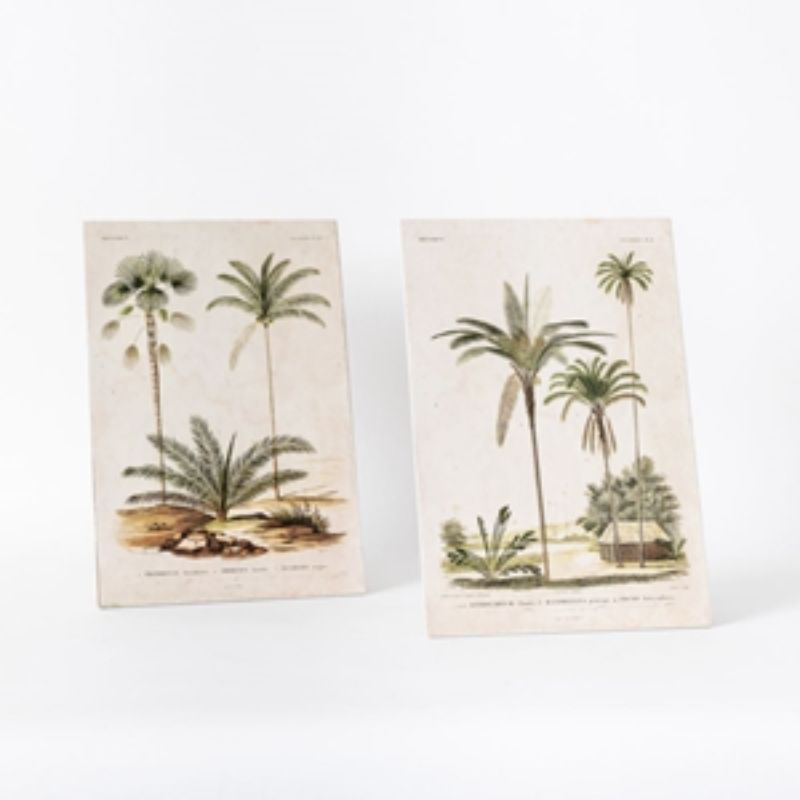 Set of 2 vibrant palm prints in wooden frames, perfect for enhancing tropical decor in any living space.