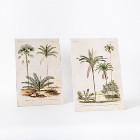 Set of 2 vibrant palm prints in wooden frames, perfect for enhancing tropical decor in any living space.