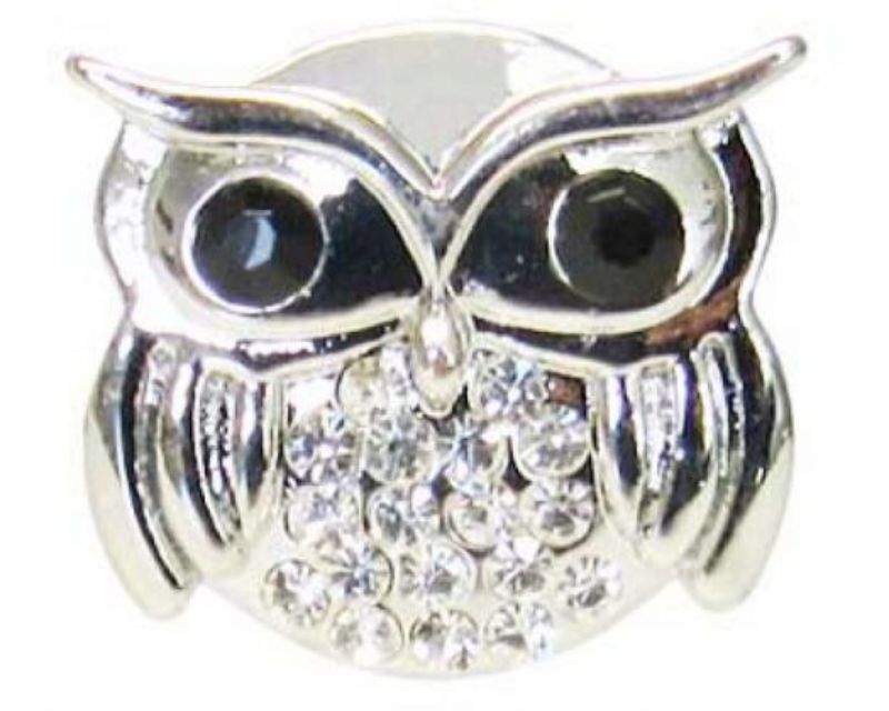 Handcrafted Snaps REDFOX Watchful Owl watch featuring intricate owl design, adjustable strap, and elegant watch face.