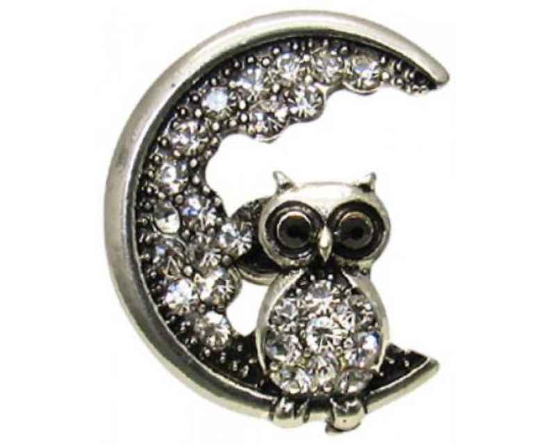 Owl art featuring a serene moonlit backdrop, perfect for adding whimsy to any home decor.