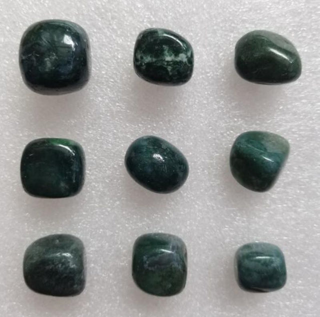 Loose tumbled stones in a mix of green agate and blood jasper, ideal for healing, decor, and creative projects.