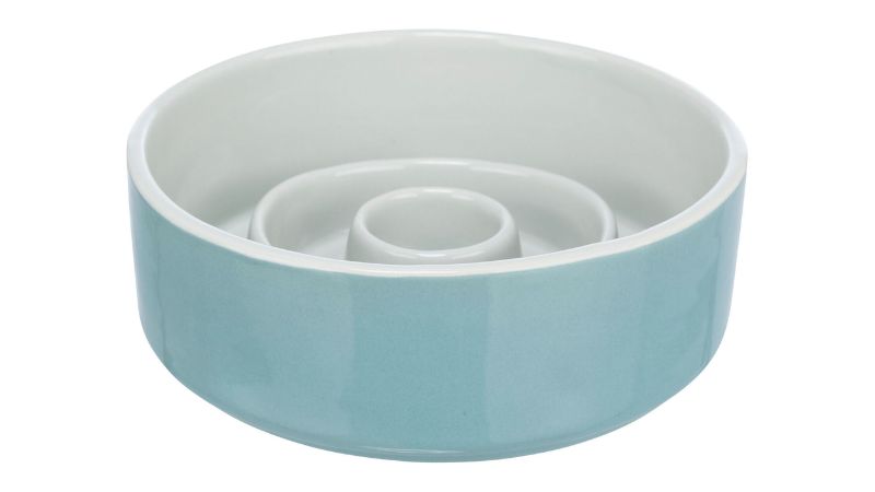 Ceramic slow-feed dog bowl (900ml) with non-slip base for healthier eating, dishwasher safe and durable design.