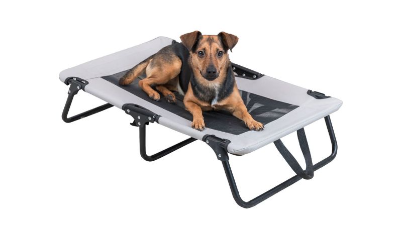 Spacious grey and black dog lounger with a cooling effect, ideal for pets up to 15 kg; portable and collapsible design.