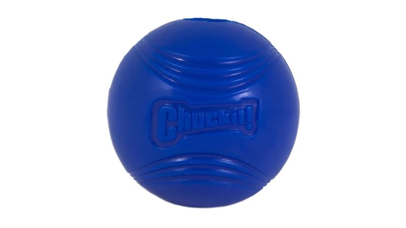 Medium Crunch Ball dog toy with crackling sound, durable TPR, perfect for fetch and compatible with Chuckit! launchers.