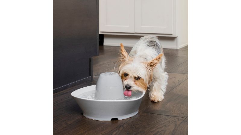 Streamside Ceramic Pet Fountain (1.8L) features BPA-free design, 360-degree access, and whisper-quiet operation for easy hydration.