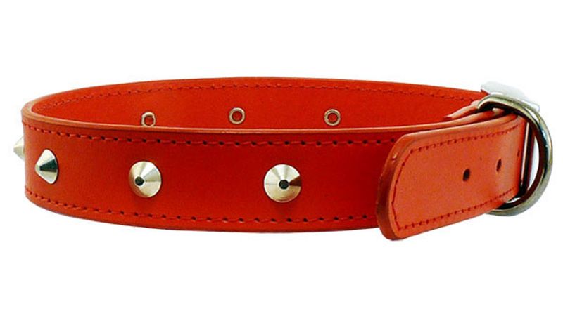 Stitched studded red dog collar, 18mm wide and 45cm long, featuring adjustable fit and durable chrome hardware.