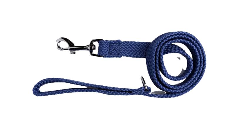 Dog Lead - Double Nylon Webbing 20mm x 120cm (Blue)