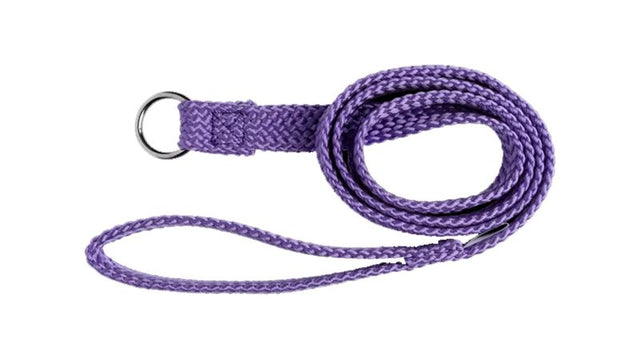 Purple nylon slip dog lead, 20mm x 150cm, featuring a chrome ring and rubber stopper for secure and stylish walks.