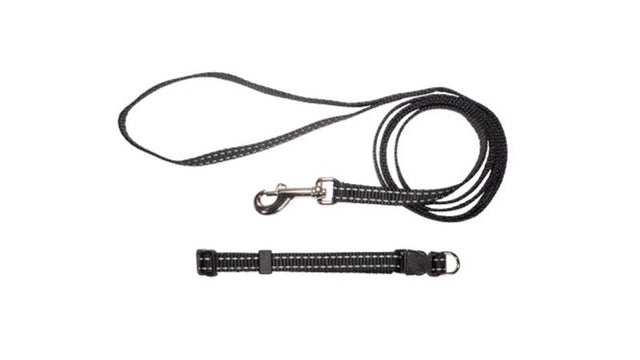 Puppy Collar and Lead Set in black with reflective threads, nylon material, adjustable collar, and secure snap hook.