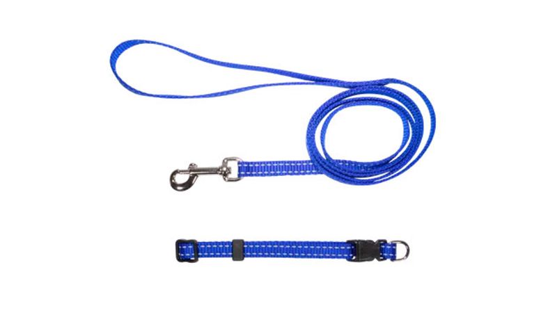 Blue nylon puppy collar and lead set with reflective threads and secure buckle, ideal for safe evening walks.