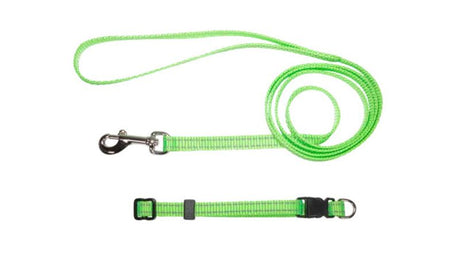 Bright green nylon puppy collar and lead set with reflective threads for visibility, featuring a plastic buckle and chrome snap hook.