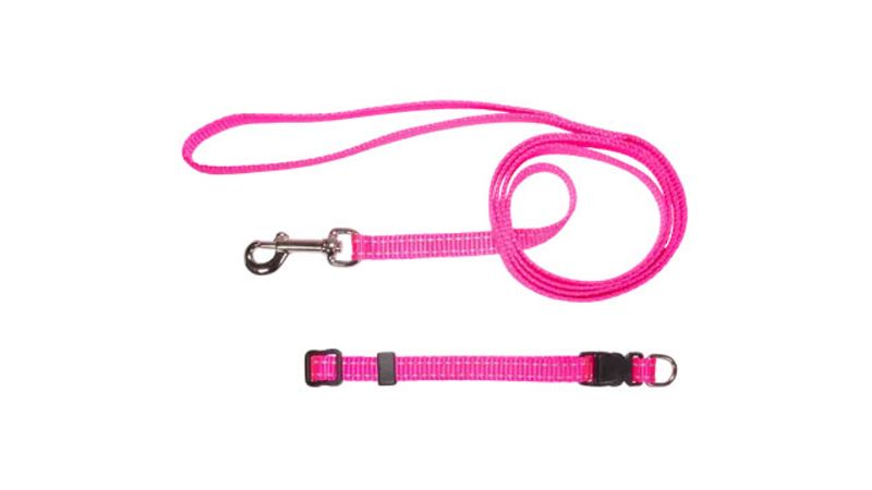 Pink nylon puppy collar and lead set with reflective thread for safety, featuring a side release buckle and snap hook.