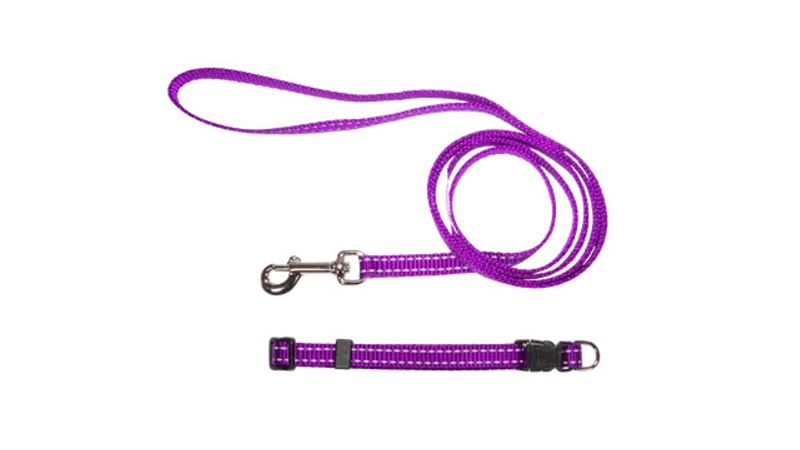 Purple nylon puppy collar and lead set with reflective thread, adjustable fit, and secure snap hook for small dogs.