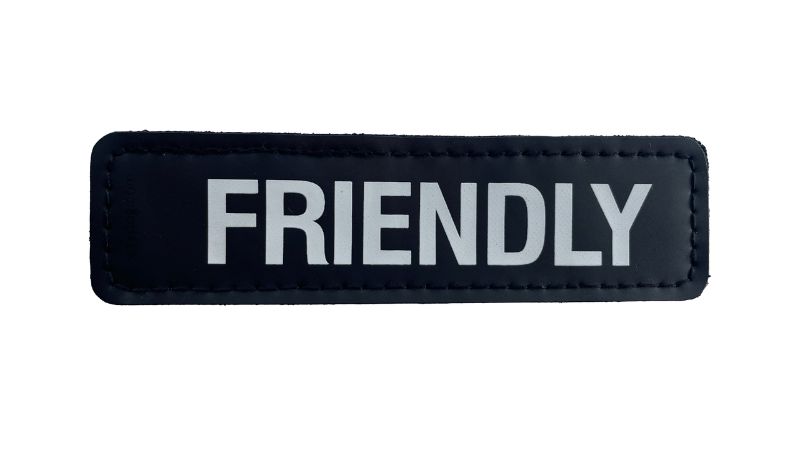 Side Patch - S FRIENDLY