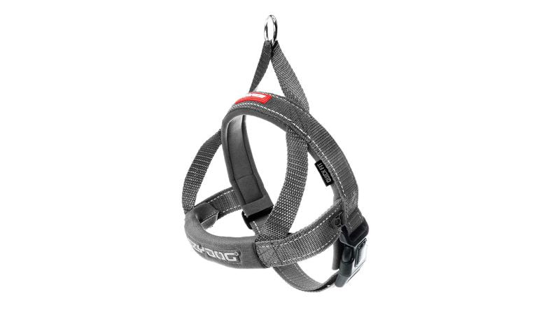 Comfortable grey dog harness designed for quick fitting, featuring neoprene padding and reflective stitching for nighttime safety.