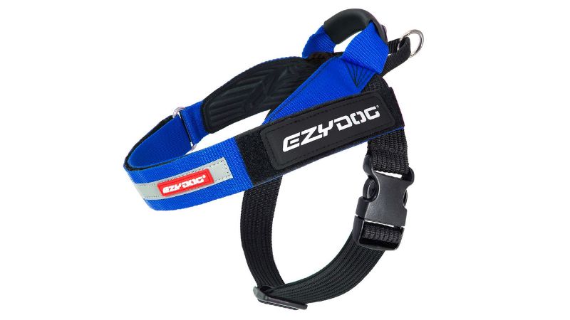 Blue ED Express Dog Harness for small to medium dogs, featuring soft EVA pads, molded handle, and reflective trim for safety.