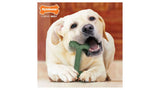 Durable nylon dental chew toy for dogs, featuring four paw grips and a bacon flavor, ideal for power chewers up to 23 kg.