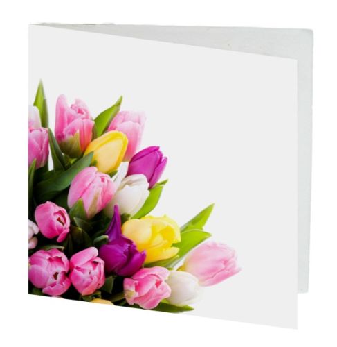 Vibrant 7cm tulip-themed gift cards, pack of 10, perfect for birthdays, anniversaries, and heartfelt gestures.