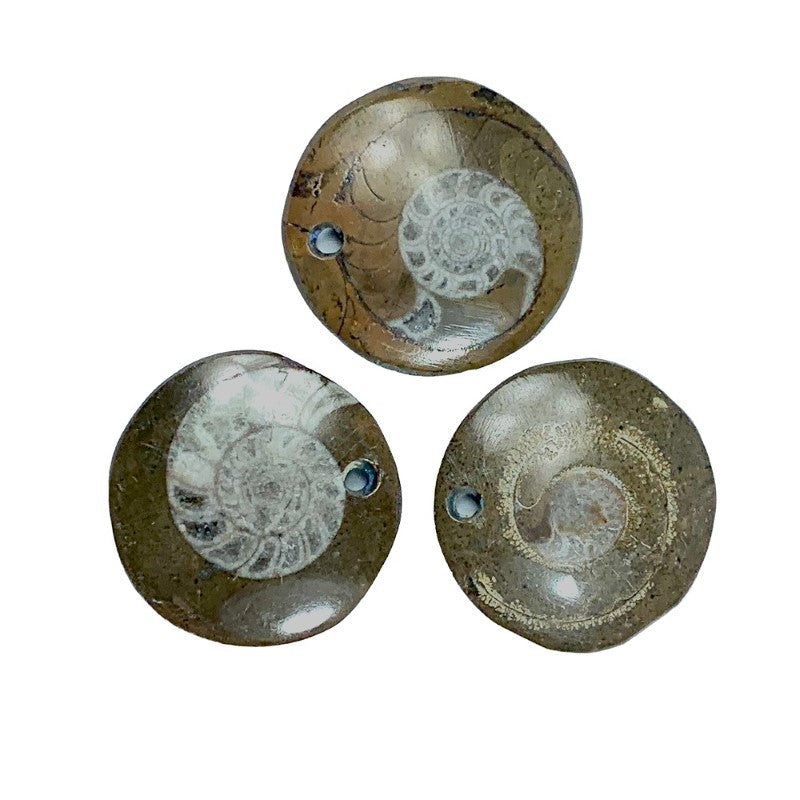 Set of 2 small ammonite fossil pendants, showcasing unique patterns and hues, ideal for meditation and well-being.