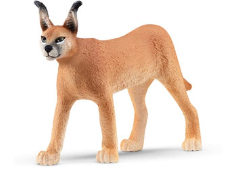 Schleich Caracal Female figurine showcasing tufted ears and golden coat, perfect for play and wildlife education.