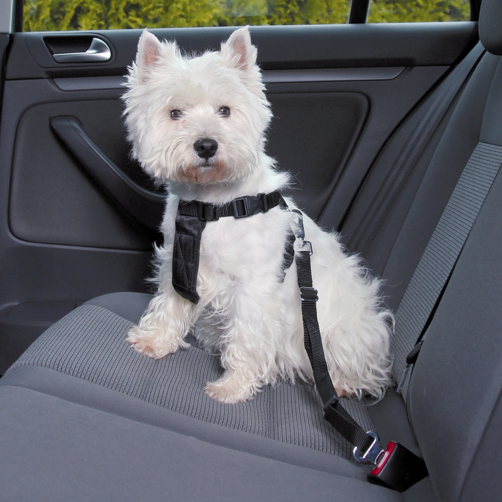 Dog car safety harness in size S, designed for West Highland Terriers, offers protection and secure travel with adjustable features.