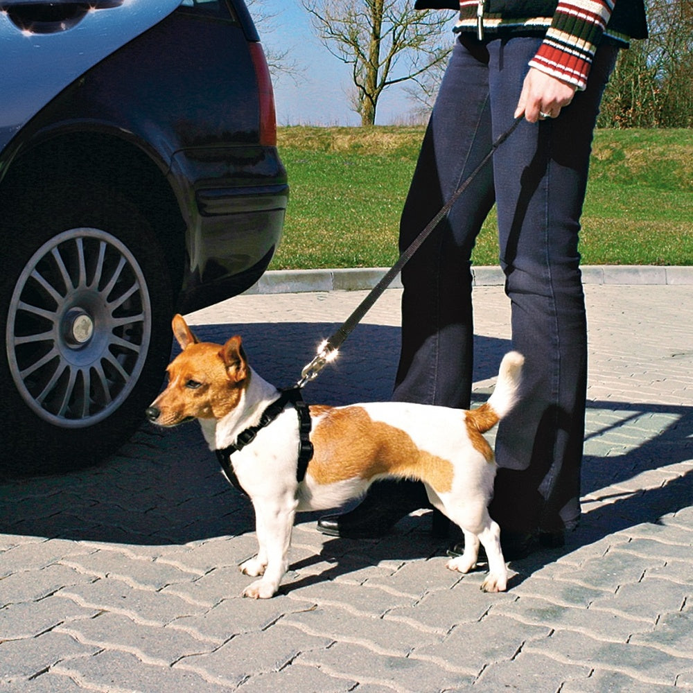Dog car safety harness for small dogs, adjustable, padded, prevents injury in accidents, made of soft nylon fabric.