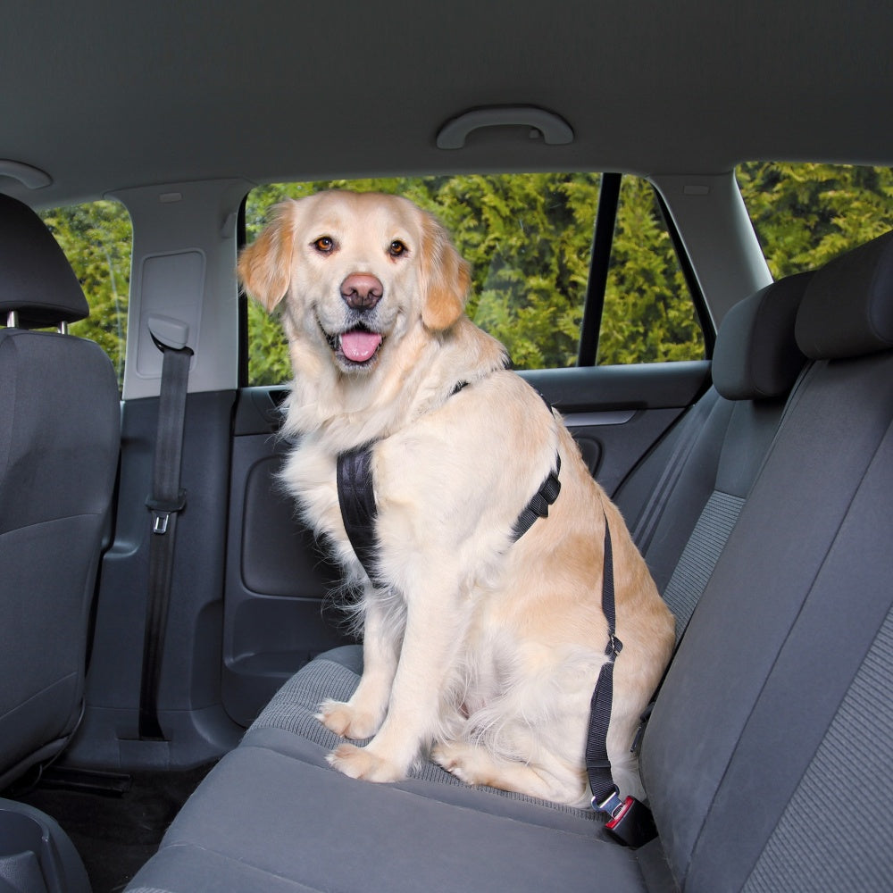 Small dog car safety harness designed for secure travel, adjustable fit, and can double as a leading harness.