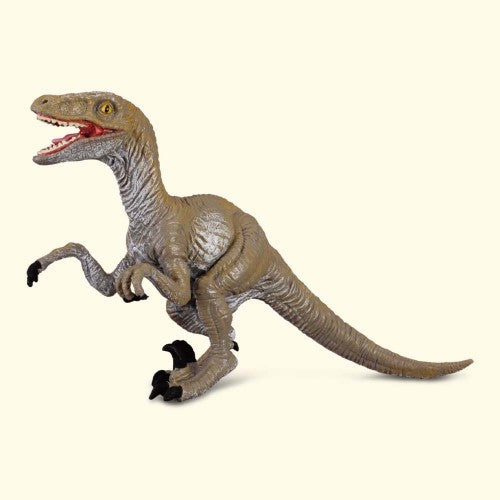 Lifelike medium Velociraptor figurine by CollectA, showcasing detailed features of the cunning 'Fast Hunter' dinosaur.