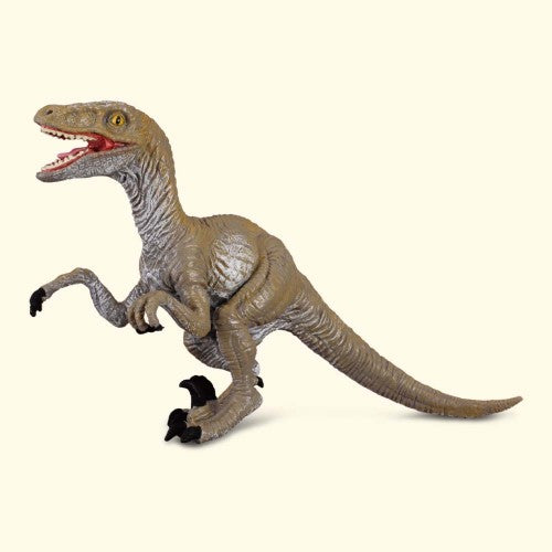 Velociraptor  Figurine Medium - CollectA