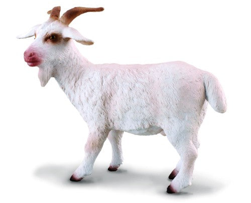 Medium Billy Goat figurine from CollectA, featuring intricate detail, perfect for display or play, ideal for collectors and animal lovers.