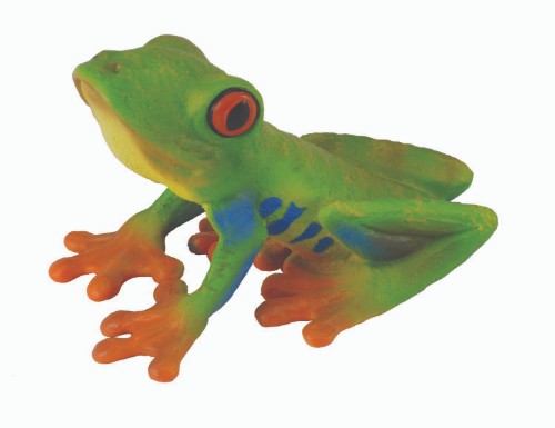 Medium Red-Eyed Tree Frog figurine by CollectA, showcasing vibrant colors and realistic details, perfect for collectors and education.