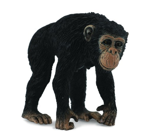 Realistic medium-sized CollectA Chimpanzee female figurine, showcasing detail, playful pose, perfect for collectors and educational use.