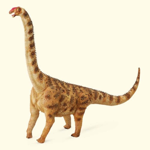 Detailed XL Argentinosaurus figurine by CollectA, depicting the massive herbivore of the Upper Cretaceous period.