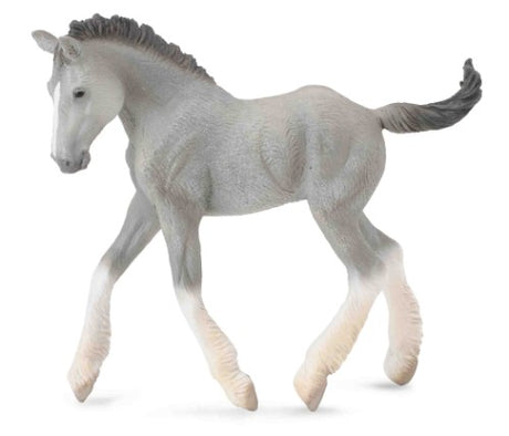 Medium grey Shire horse foal figurine by CollectA, showcasing realistic detail and gentle beauty, perfect for collectors.