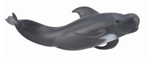 Large Pilot Whale figurine by CollectA, measuring 19.2cm, showcasing intricately detailed design for collectors and ocean lovers.