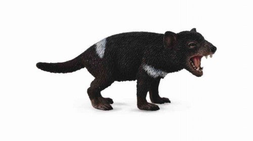 Medium Tasmanian Devil figurine by CollectA, showcasing detailed black fur and white markings, perfect for collectors and wildlife enthusiasts.