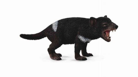 Medium Tasmanian Devil figurine by CollectA, showcasing detailed black fur and white markings, perfect for collectors and wildlife enthusiasts.