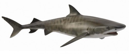 Tiger Shark  Figurine Large - CollectA