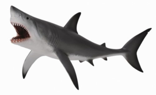 Realistic Great White Shark figurine by CollectA, measuring 20.4cm, perfect for collectors and marine education enthusiasts.