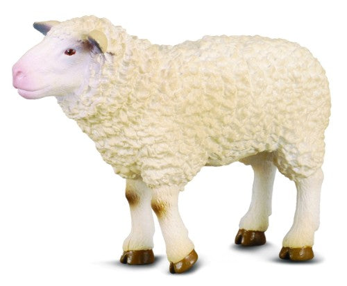 Medium Collecta sheep figurine, 7cm x 5cm, showcasing realistic details for decor or educational play.