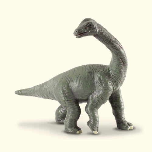 Small Brachiosaurus baby figurine, 7.5cm x 6.5cm, captures details of this majestic herbivorous dinosaur for play and display.