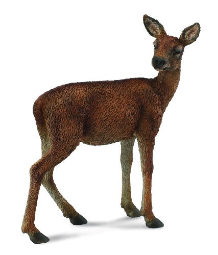 Medium Red Deer Hind figurine by Collecta, showcasing lifelike details, perfect for collectors and wildlife enthusiasts.